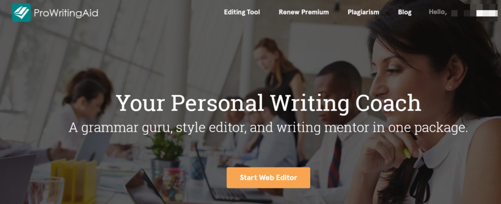 ProWritingAid Grammar Homepage.