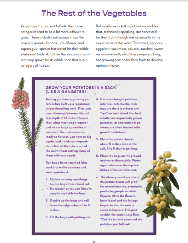Screenshot of downloadable MasterClass workbook
